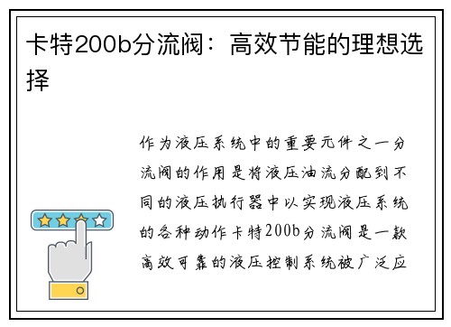 卡特200b分流阀：高效节能的理想选择